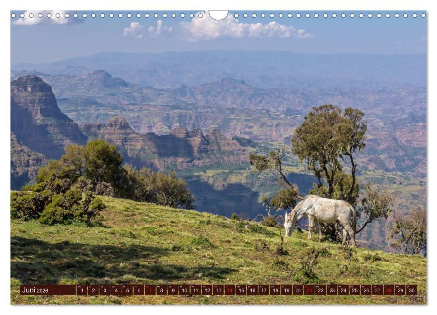 InsideView 11
