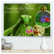 Cover-Bild zum Titel 'Insekt des Jahres (hochwertiger Premium Wandkalender 2026 DIN A2 quer), Kunstdruck in Hochglanz' von 'Claudia Kleemann'