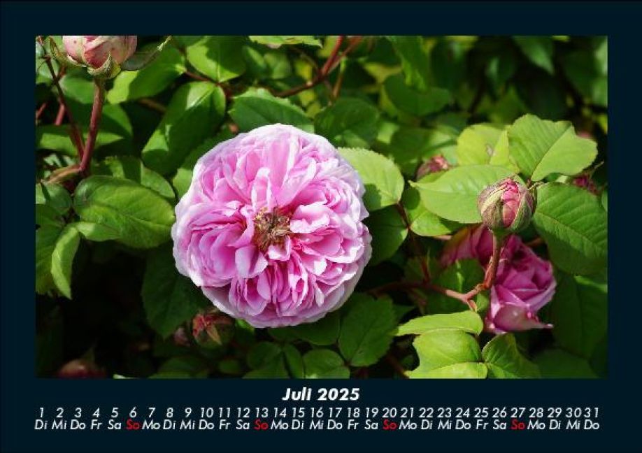 InsideView 11