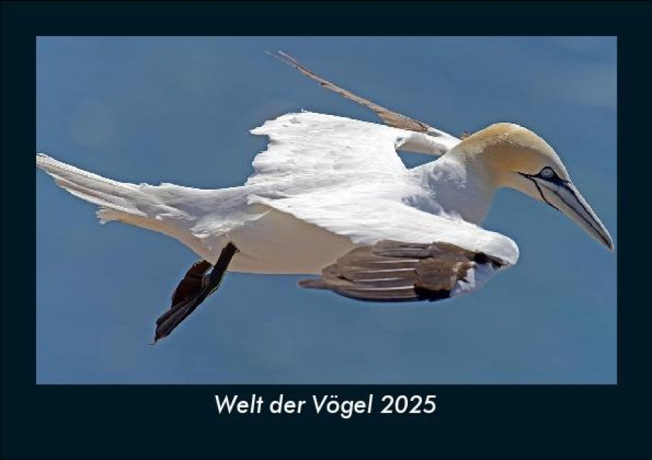 Welt der Vögel 2025 Fotokalender DIN A5 - Tobias Becker