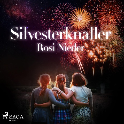 Silvesterknaller - Vulkanausbruch in der Eifel 2010/11 (Ungekürzt) - Rosi Nieder