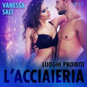 Cover-Bild zum Titel 'Luoghi proibiti: l'acciaieria - Breve racconto erotico' von 'Vanessa Salt'