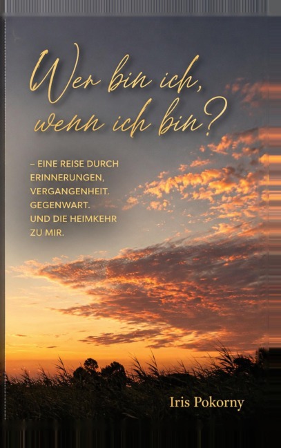 Wer bin ich, wenn ich bin? - Iris Pokorny