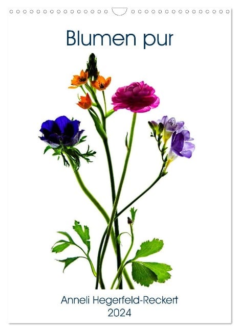 Blumen pur (Wandkalender 2024 DIN A3 hoch), CALVENDO Monatskalender - Anneli Hegerfeld-Reckert