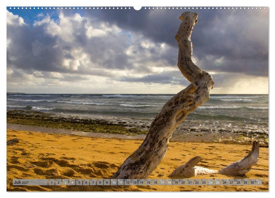 InsideView 12