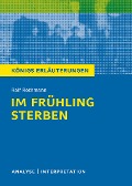 Cover-Bild zum Titel 'Im Frühling sterben von Ralf Rothmann. Textanalyse und Interpretation mit ausführlicher Inhaltsangabe und Abituraufgaben mit Lösungen.' von 'Ralf Rothmann'