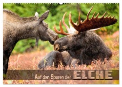 Auf den Spuren der Elche (Wandkalender 2026 DIN A2 quer), CALVENDO Monatskalender - Renate Utz