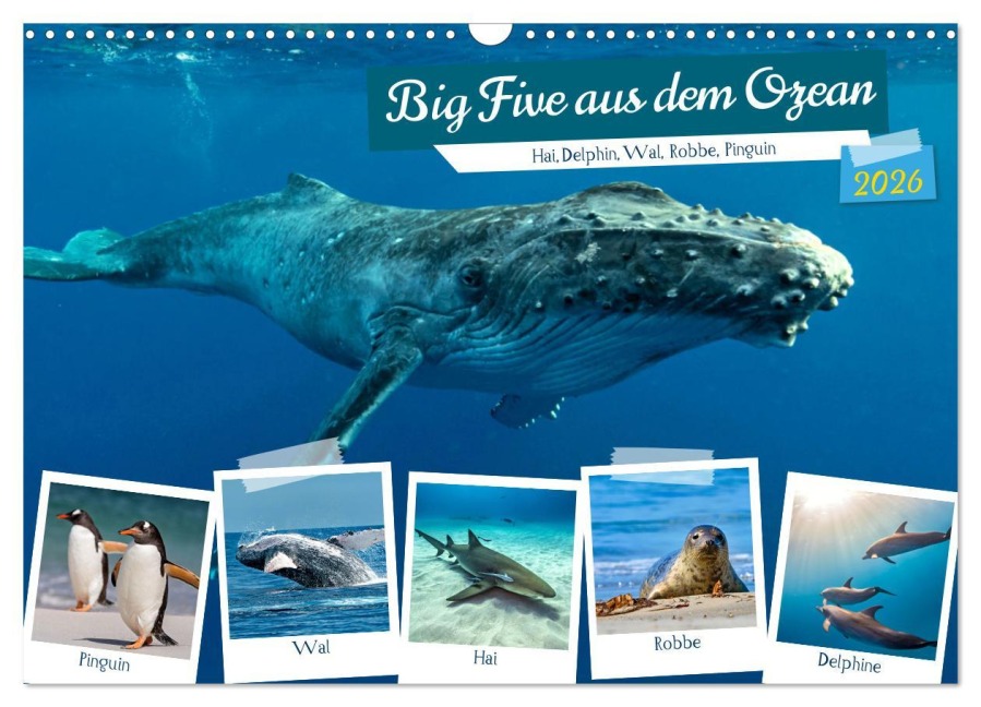Big Five aus dem Ozean Hai, Delphin, Wal, Robbe, Pinguin (Wandkalender 2026 DIN A3 quer), CALVENDO Monatskalender - Susan Michel