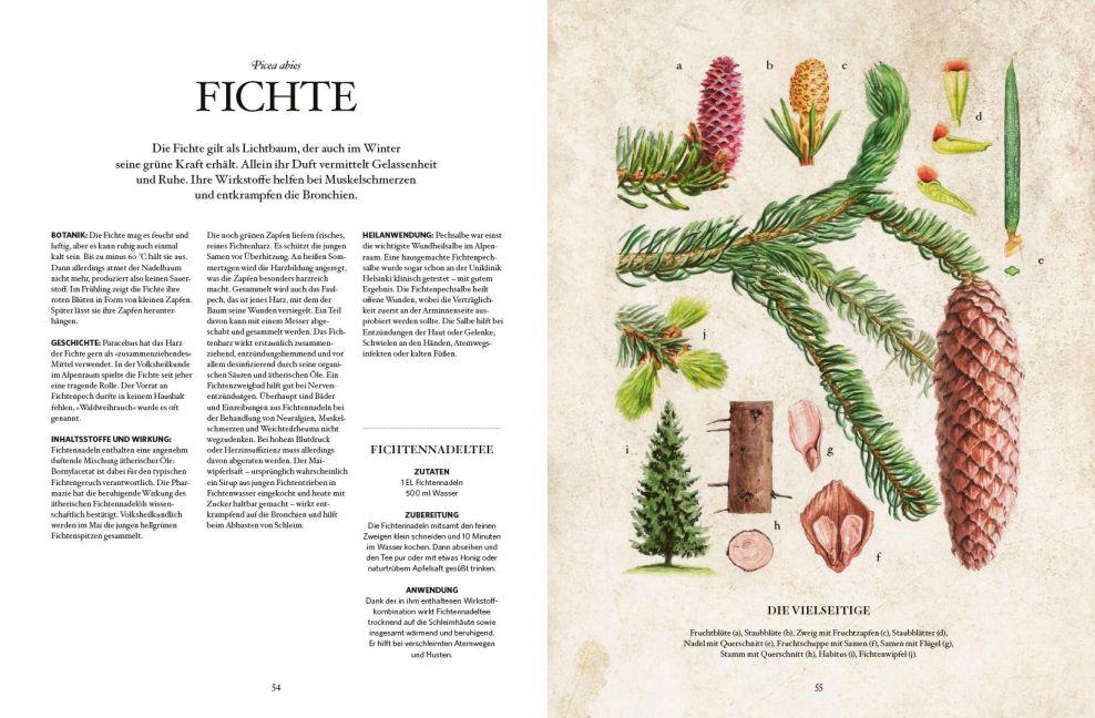 InsideView 5