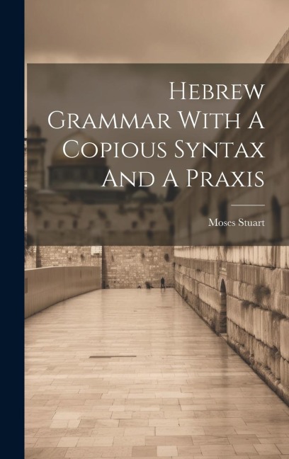 Hebrew Grammar With A Copious Syntax And A Praxis - Moses Stuart