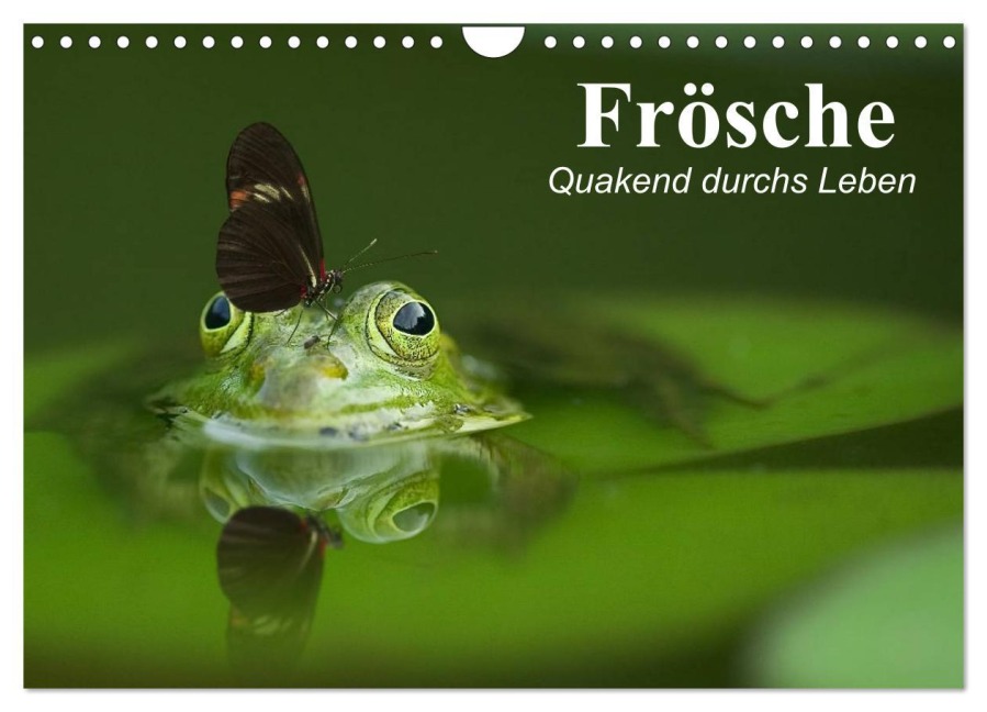Frösche. Quakend durchs Leben (Wandkalender 2026 DIN A4 quer), CALVENDO Monatskalender - Elisabeth Stanzer