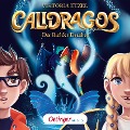 Cover-Bild zum Titel 'Calidragos 1. Der Ruf des Drachen' von 'Viktoria Etzel'