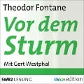 Cover-Bild zum Titel 'Vor dem Sturm' von 'Theodor Fontane'