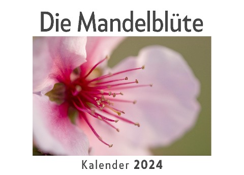 Die Mandelblüte (Wandkalender 2024, Kalender DIN A4 quer, Monatskalender im Querformat mit Kalendarium, Das perfekte Geschenk) - Anna Müller
