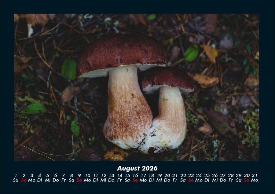 InsideView 12