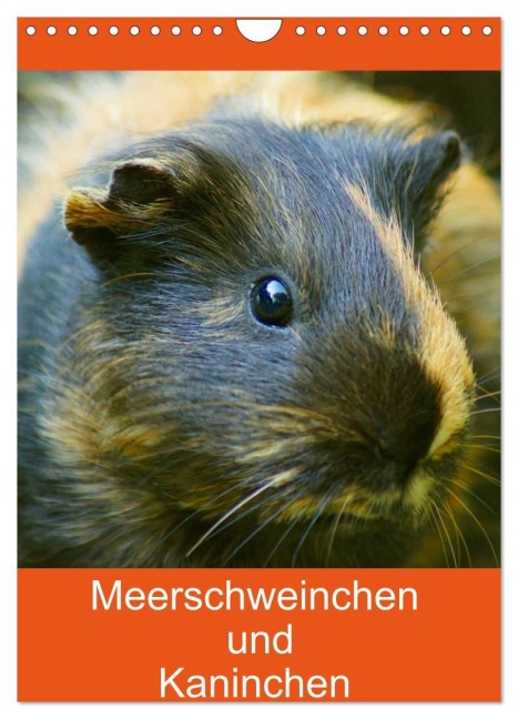 Meerschweinchen und Kaninchen Familienplaner (Wandkalender 2027 DIN A4 hoch), CALVENDO Monatskalender - Kattobello