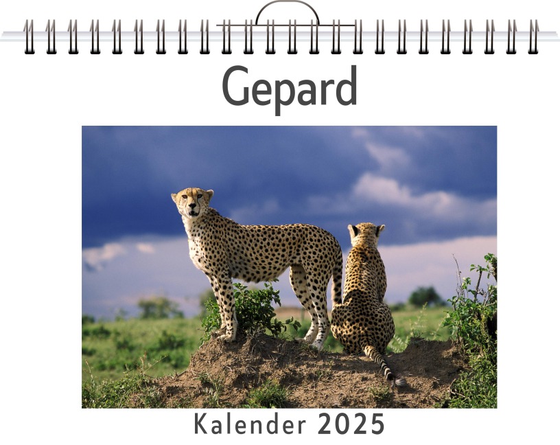 Gepard - Jonah Huber