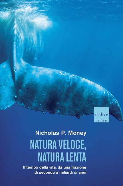 Natura veloce, natura lenta. Il tempo della vita, da una frazione di secondo a miliardi di anni - Nicholas P. Money