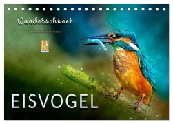 Cover-Bild zum Titel 'Wunderschöner Eisvogel (Tischkalender 2026 DIN A5 quer), CALVENDO Monatskalender' von 'Peter Roder'