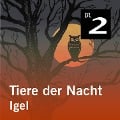 Cover-Bild zum Titel 'Tiere der Nacht: Igel' von 'Silke Wolfrum'