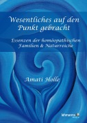 Cover-Bild zum Titel 'Wesentliches auf den Punkt gebracht' von 'Amati Holle'