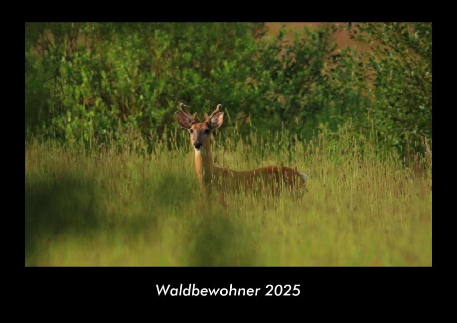 Waldbewohner 2025 Fotokalender DIN A3 - Tobias Becker