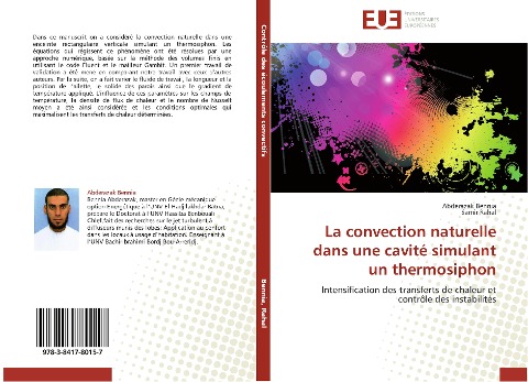 La convection naturelle dans une cavité simulant un thermosiphon - Abderazak Bennia, Samir Rahal