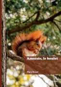 Cover-Bild zum Titel 'Amnésie, le boulet' von 'Mary Rissel'