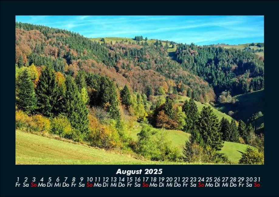 InsideView 12