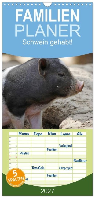 Familienplaner 2027 - Schwein gehabt! mit 5 Spalten (Wandkalender, 21 x 45 cm) CALVENDO - Antje Lindert-Rottke