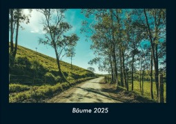 Cover-Bild zum Titel 'Bäume 2025 Fotokalender DIN A4' von 'Tobias Becker'