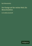 Cover-Bild zum Titel 'Der Einzige auf der weiten Welt; Ein Menschenleben' von 'Karl Bienenstein'