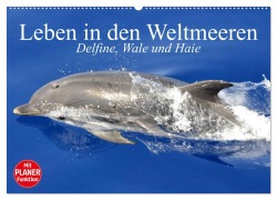 Cover-Bild zum Titel 'Leben in den Weltmeeren. Delfine, Wale und Haie (Wandkalender 2026 DIN A2 quer), CALVENDO Monatskalender' von 'Elisabeth Stanzer'