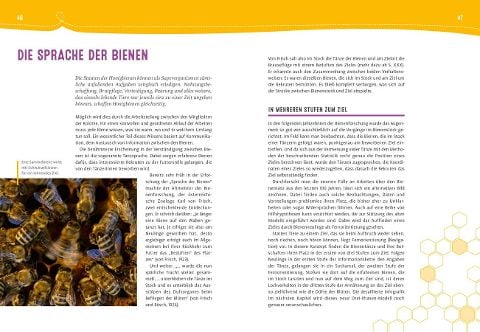 InsideView 6
