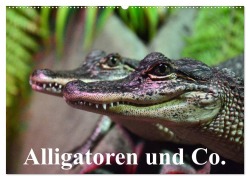 Alligatoren und Co. (Wandkalender 2026 DIN A2 quer), CALVENDO Monatskalender - Elisabeth Stanzer