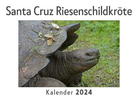 Santa Cruz Riesenschildkröte (Wandkalender 2024, Kalender DIN A4 quer, Monatskalender im Querformat mit Kalendarium, Das perfekte Geschenk) - Anna Müller