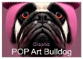 Graphic PoP Art Bulldogge (Wandkalender 2024 DIN A2 quer), CALVENDO Monatskalender - Carina Augusto