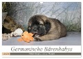 Germanische Bärenbabys (Wandkalender 2024 DIN A3 quer), CALVENDO Monatskalender - Sonja Teßen