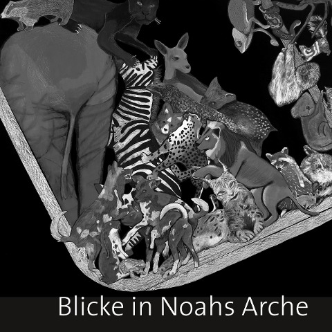 Blicke in Noahs Arche - Florian Söll
