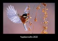 Vogelparadies 2022 Fotokalender DIN A3 - Tobias Becker