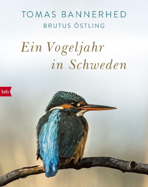 Ein Vogeljahr in Schweden - Tomas Bannerhed