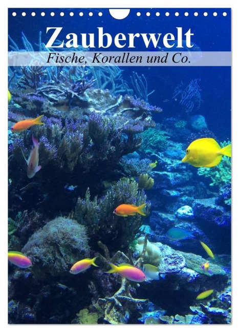 Zauberwelt. Fische, Korallen und Co. (Wandkalender 2026 DIN A4 hoch), CALVENDO Monatskalender - Elisabeth Stanzer