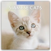Siamese Cats - Siamkatzen - Siamesische Katzen 2026 - 16-Monatskalender - Robin Red