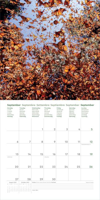 InsideView 14