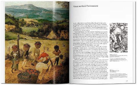 InsideView 10
