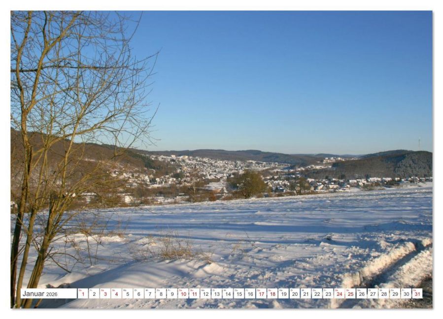 InsideView 6