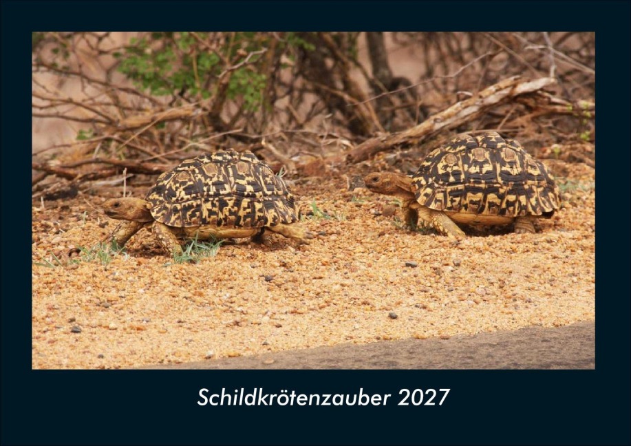 Schildkrötenzauber 2027 Fotokalender DIN A4 - Tobias Schmitt, Kevin Heber