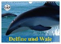 Delfine und Wale (Wandkalender 2025 DIN A4 quer), CALVENDO Monatskalender - Elisabeth Stanzer