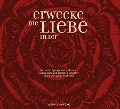 Cover-Bild zum Titel 'Erwecke die Liebe in dir' von ''