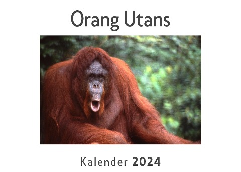 Orang Utans (Wandkalender 2024, Kalender DIN A4 quer, Monatskalender im Querformat mit Kalendarium, Das perfekte Geschenk) - Anna Müller